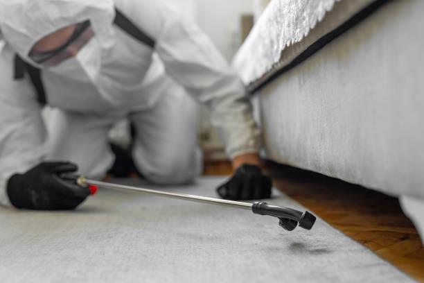 Professional Bed Bug Control technician working in Meadow Glade, WA