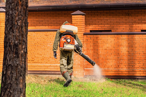 Trusted Cockroach Control service in Meadow Glade, WA - Nex Pest Control
